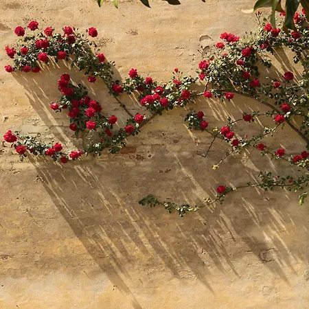 מלון Certosa Di Maggiano 4*