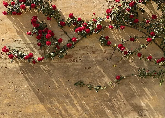 Ξενοδοχείο Certosa Di Maggiano 5*