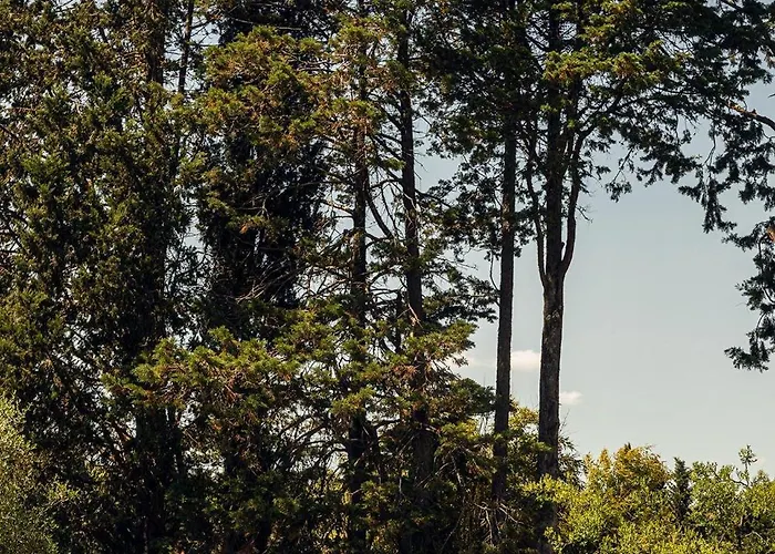 Certosa Di Maggiano Ξενοδοχείο Σιένα