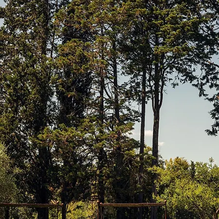 Certosa Di Maggiano 호텔 시에나